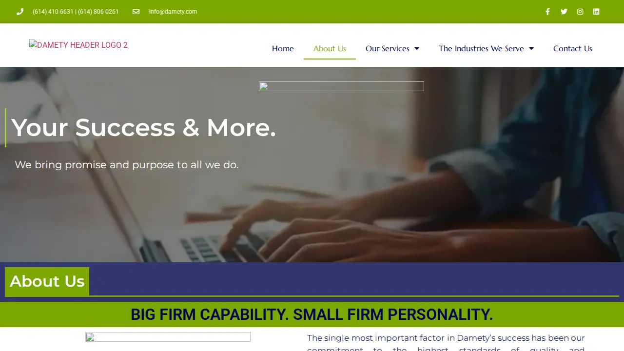 Damety Consulting LLC page