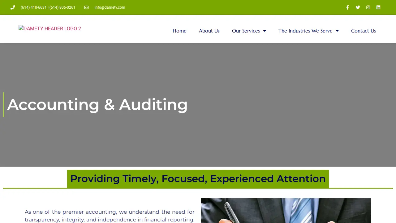 Damety Consulting LLC page