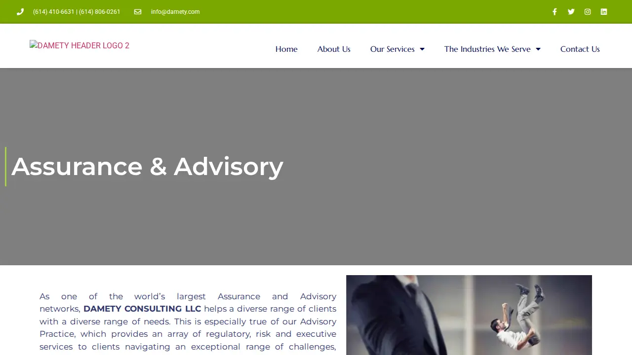 Damety Consulting LLC page