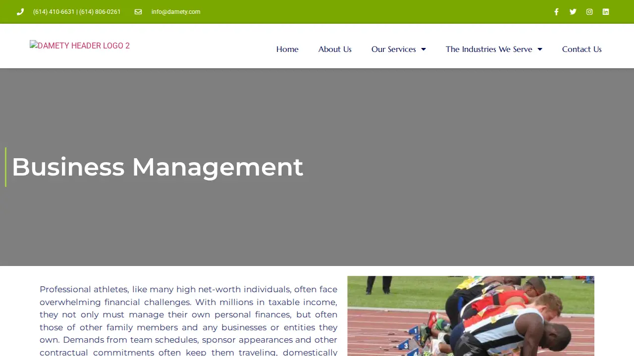 Damety Consulting LLC page