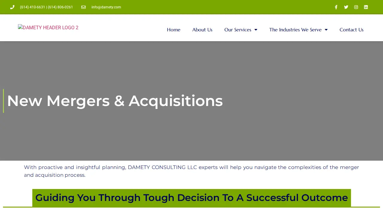 Damety Consulting LLC page