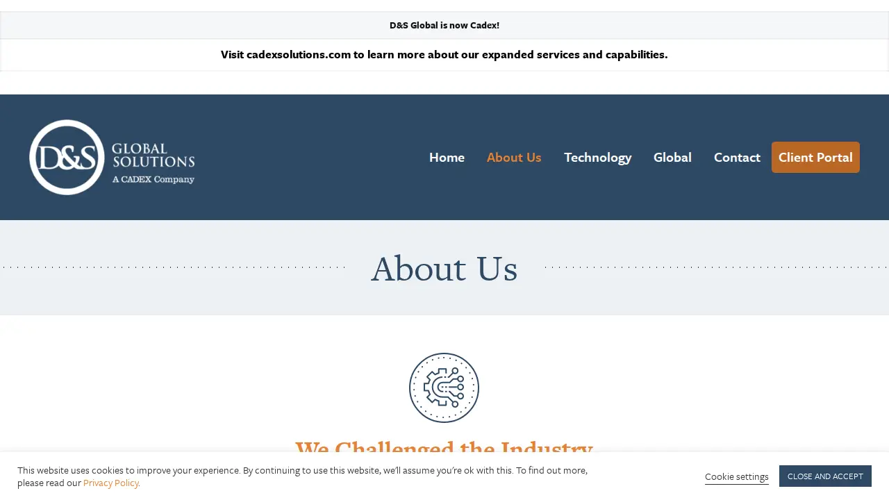 D&S Global Solutions page
