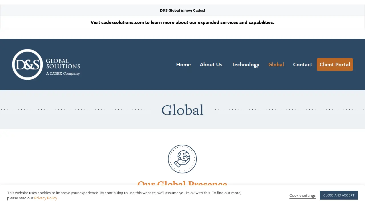 D&S Global Solutions page