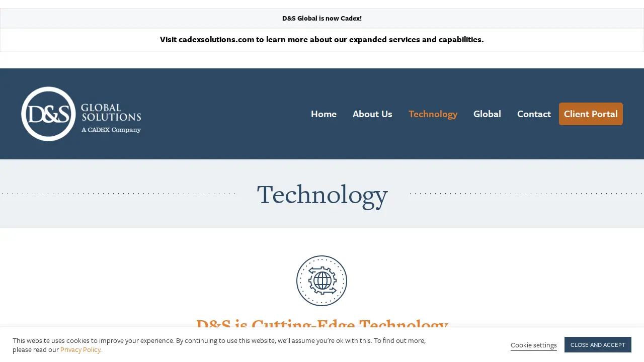 D&S Global Solutions page