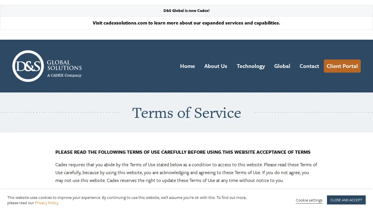 D&S Global Solutions page