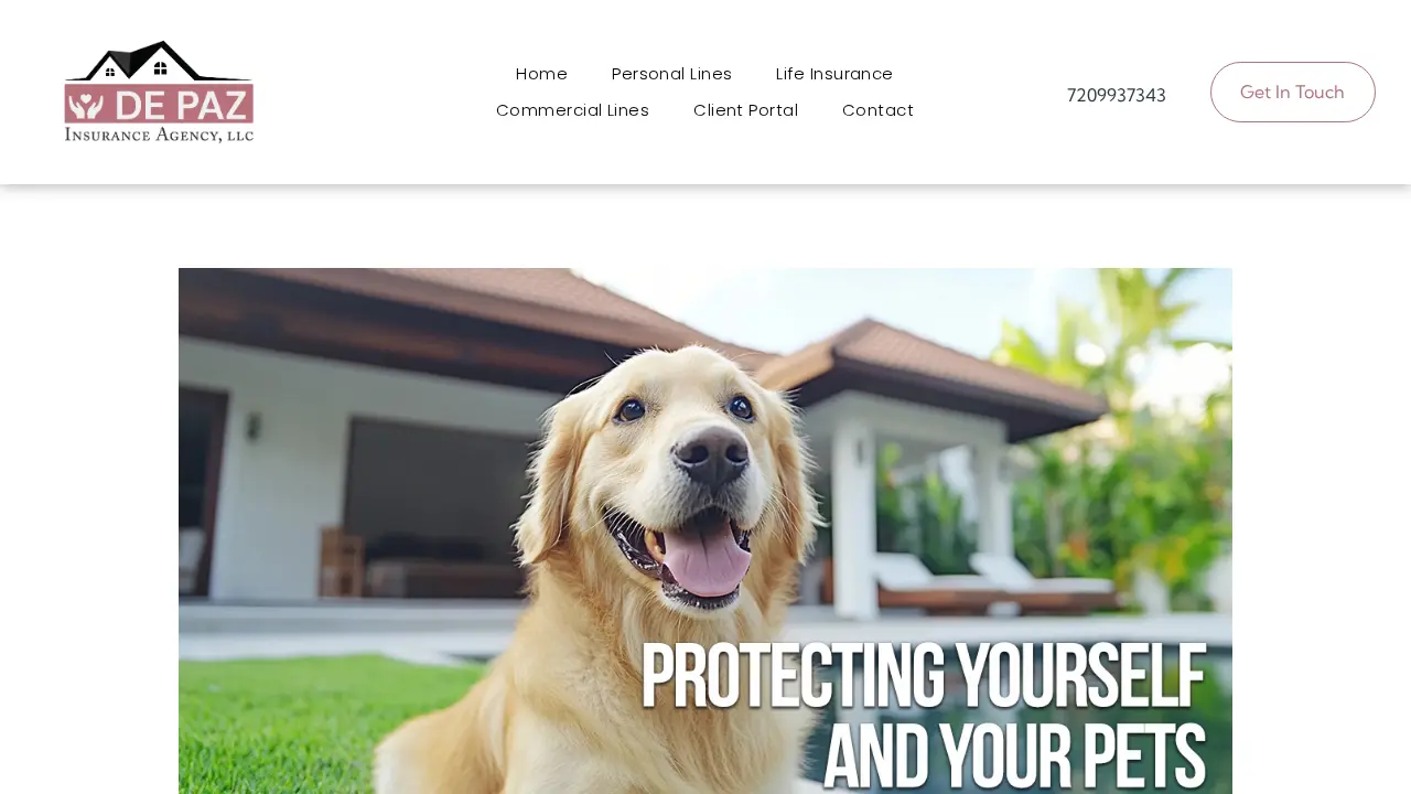 De Paz Insurance Agency page