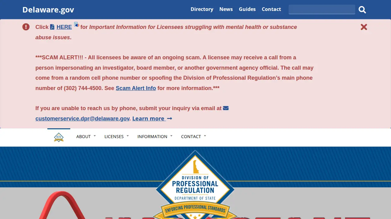 delaware association of public accountants page