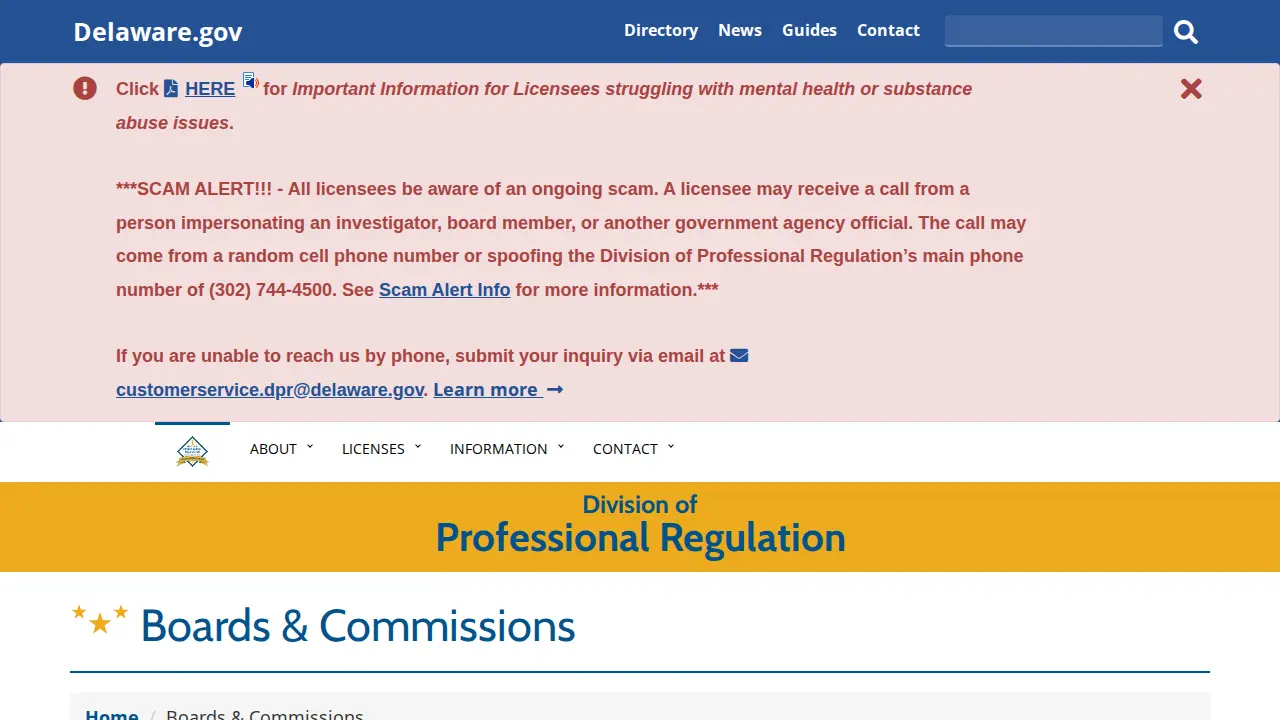 delaware association of public accountants page
