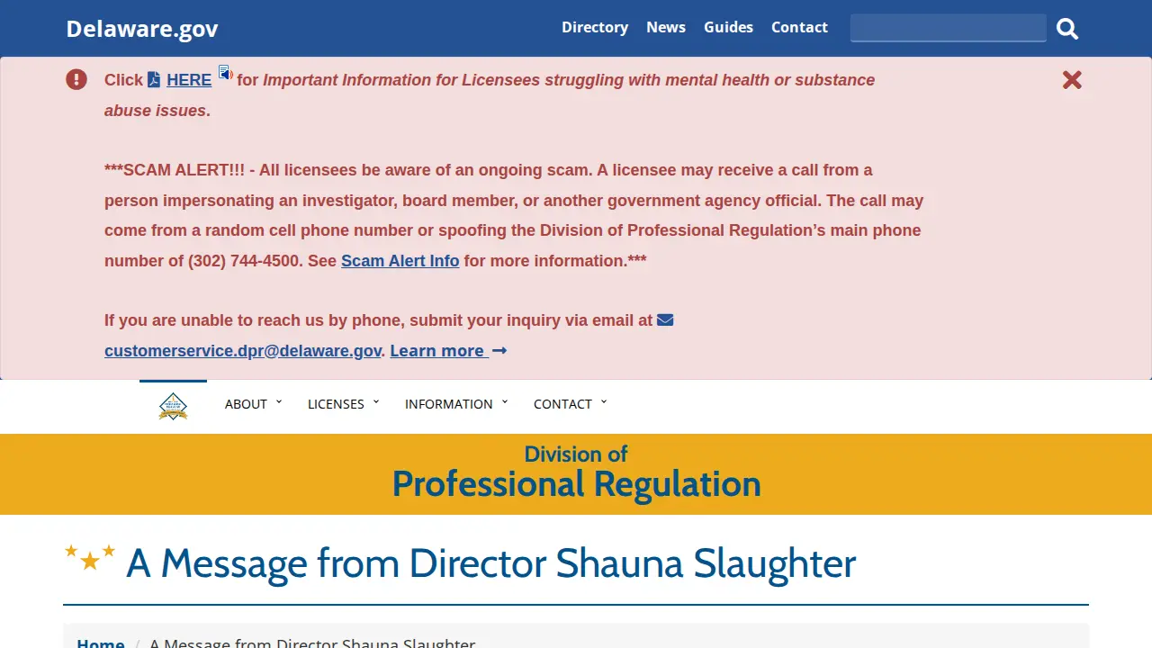 delaware association of public accountants page