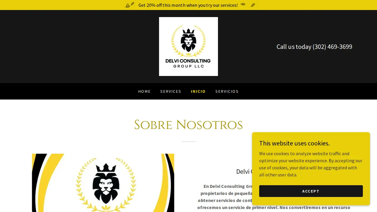 Delvi Consulting Group, LLC - Wilmington page