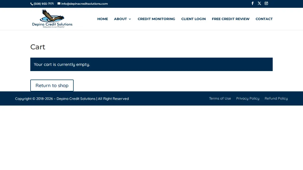 DEPINA CREDIT SOLUTIONS page
