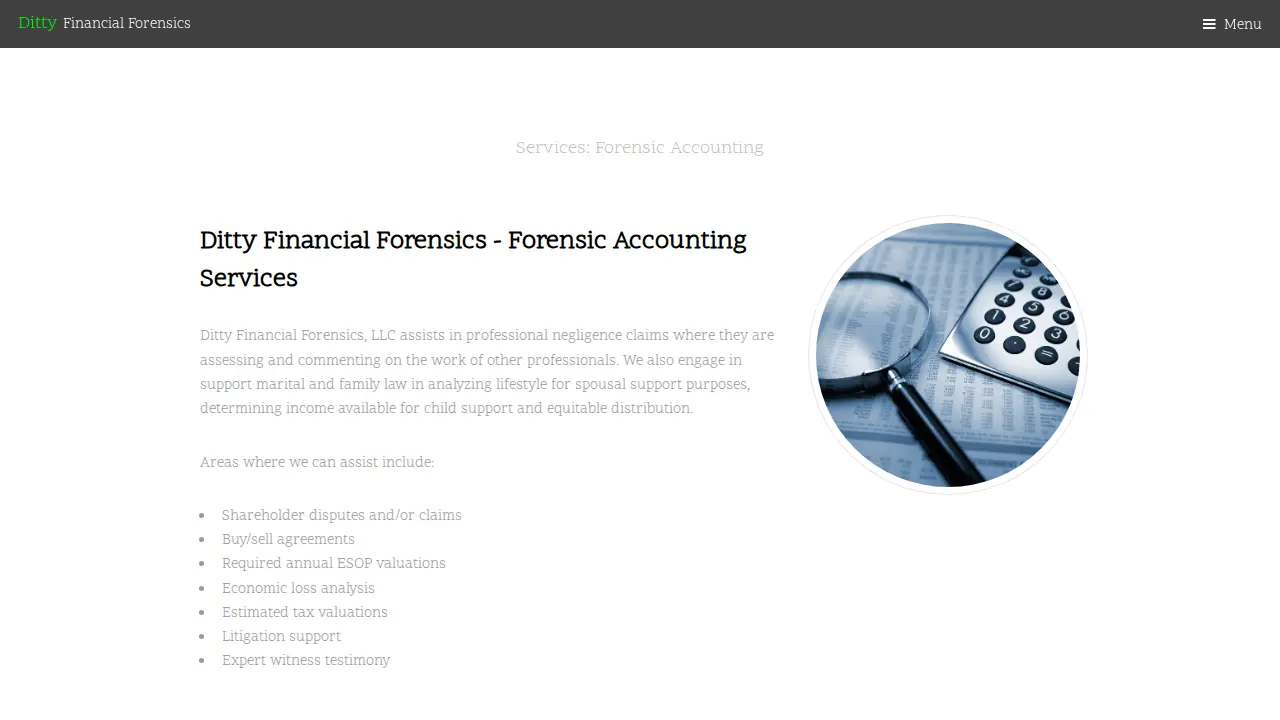 Ditty Financial Forensics page