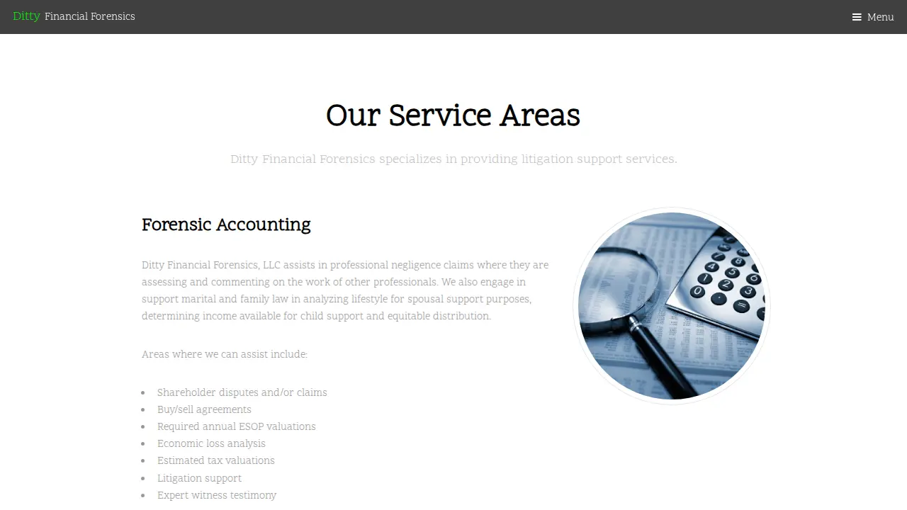 Ditty Financial Forensics page
