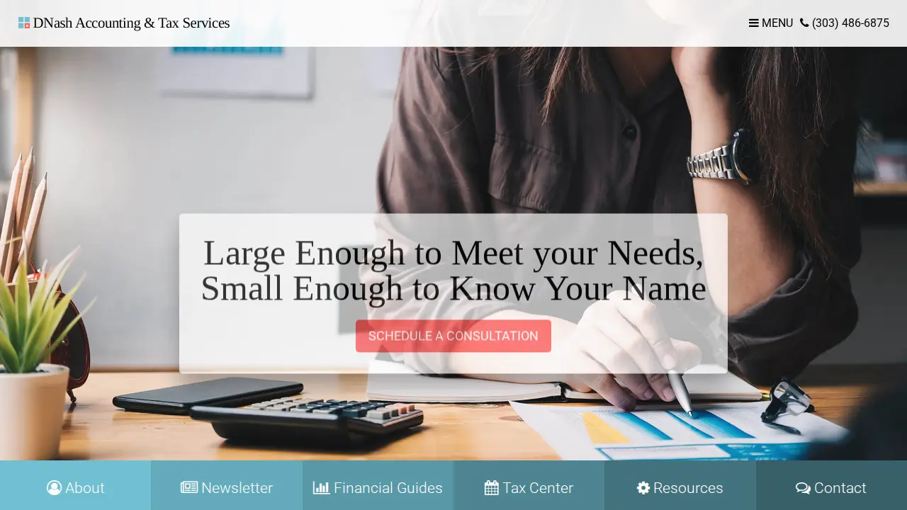 DNash Accounting & Tax Services
