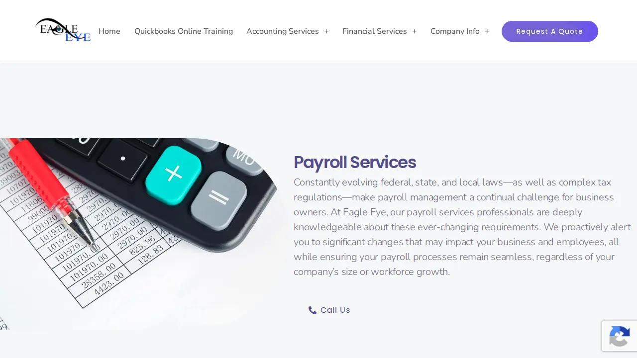 Eagle Eye Bookkeeping & Financial Services, LLC page