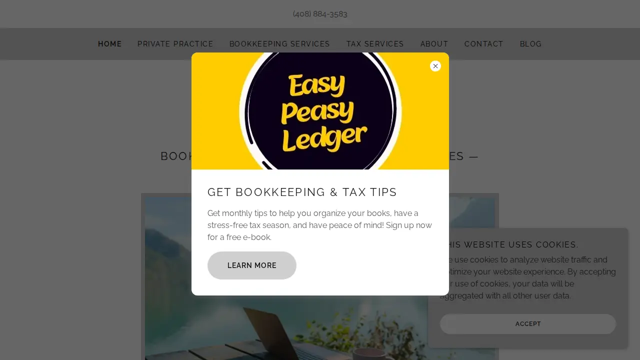 Easy Peasy Ledger