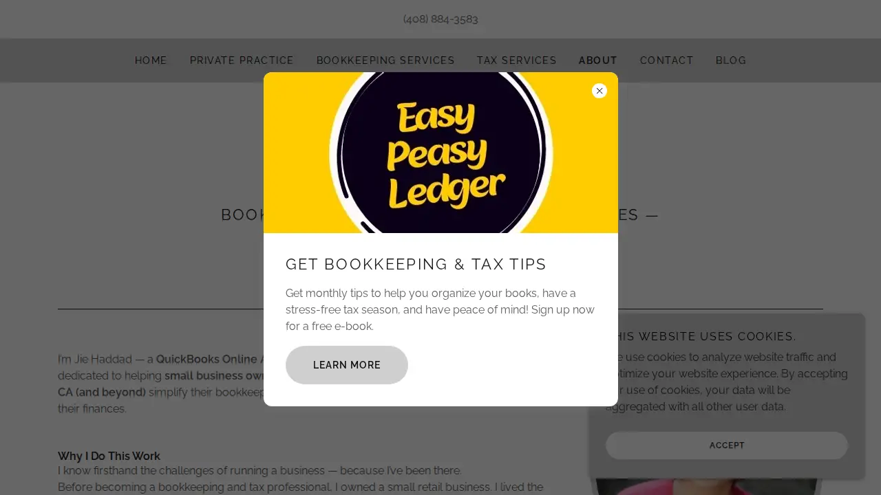 Easy Peasy Ledger page