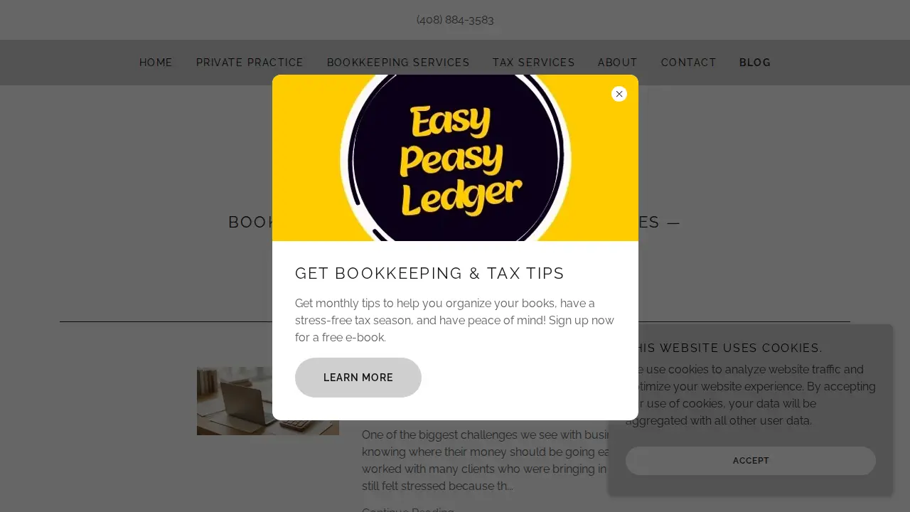 Easy Peasy Ledger page