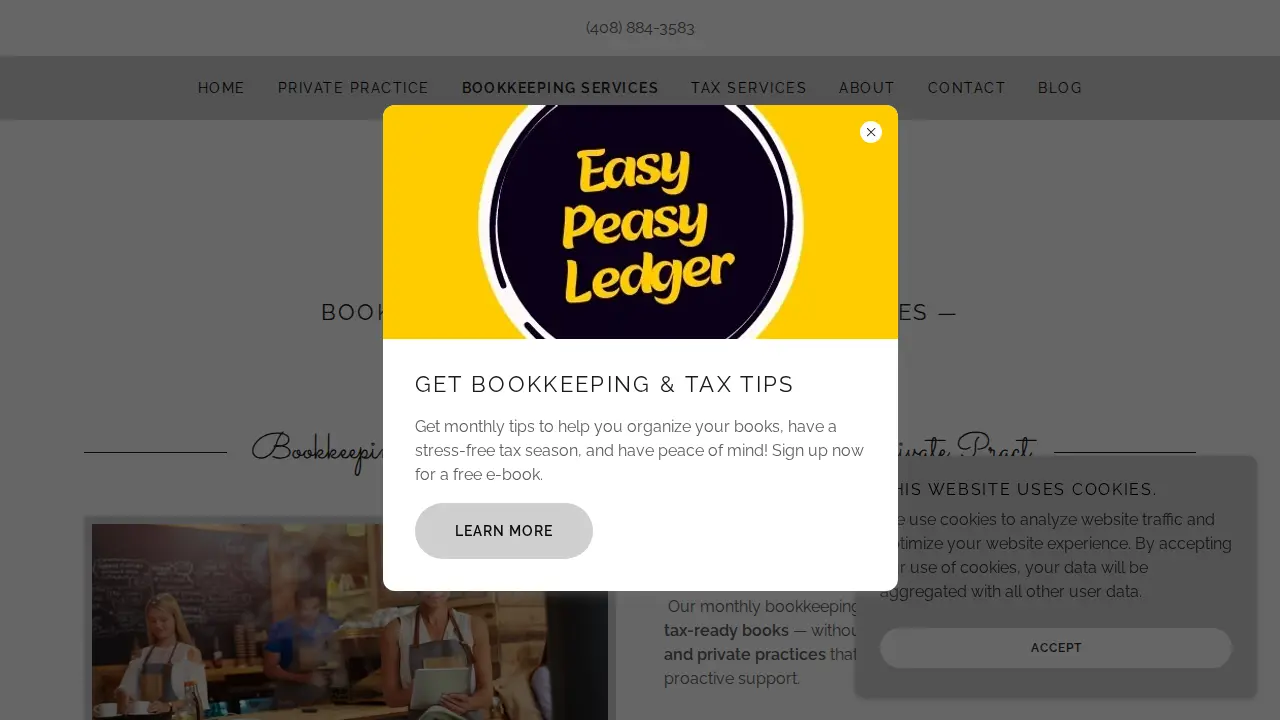Easy Peasy Ledger page