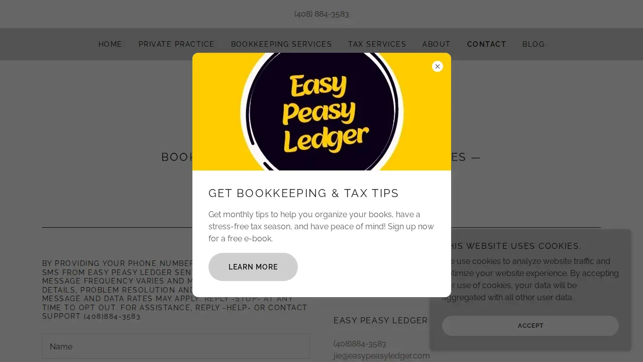 Easy Peasy Ledger page