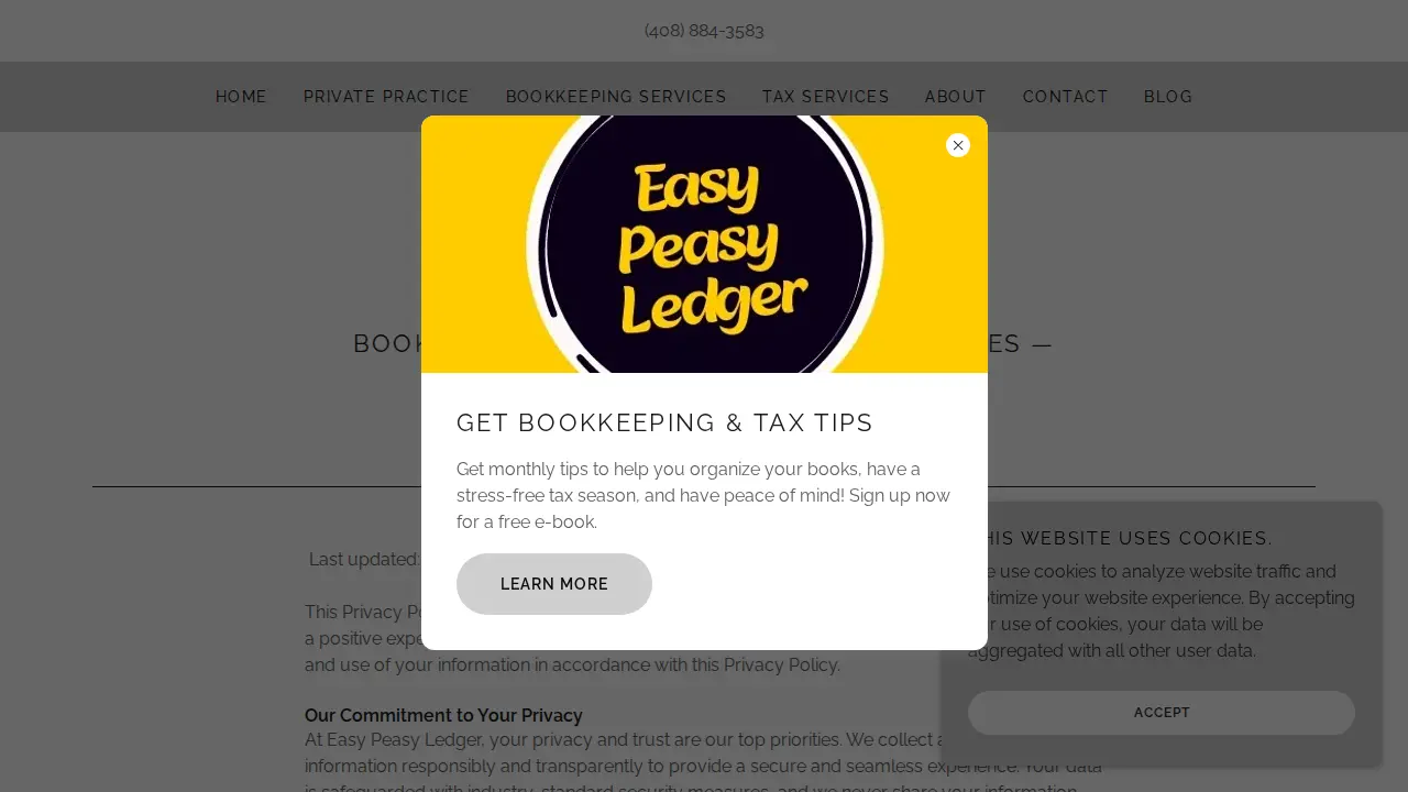 Easy Peasy Ledger page