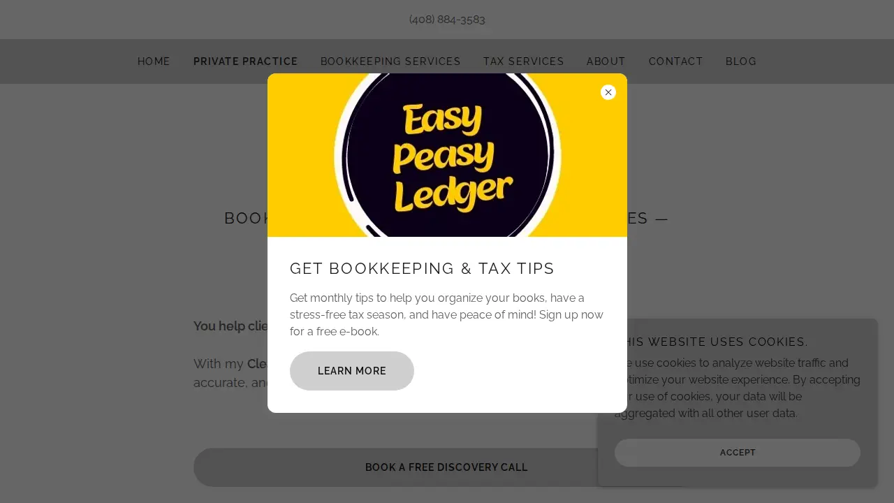 Easy Peasy Ledger page