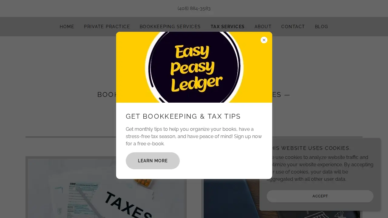 Easy Peasy Ledger page