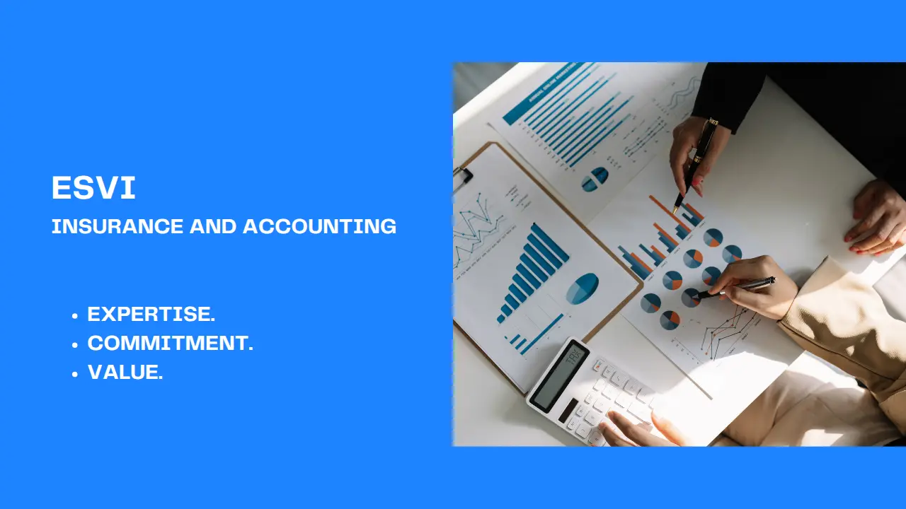 Esvi - Insurance, Accounting, Income Tax