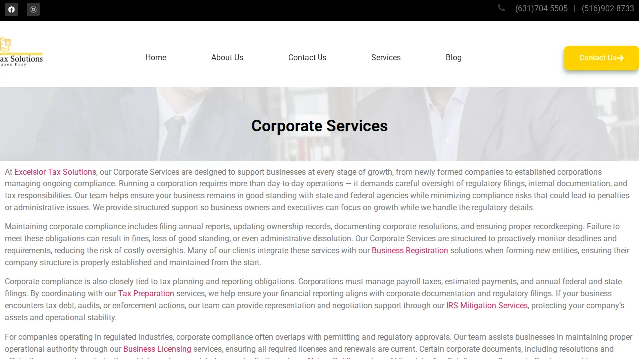 Excelsior Tax Solutions page