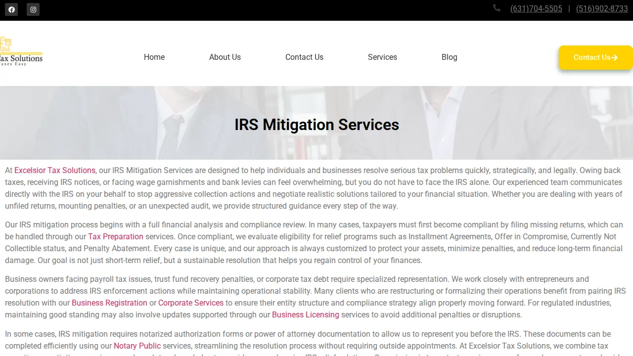 Excelsior Tax Solutions page