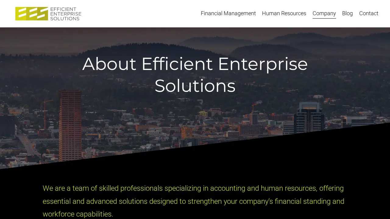 Efficient Enterprise Solutions page
