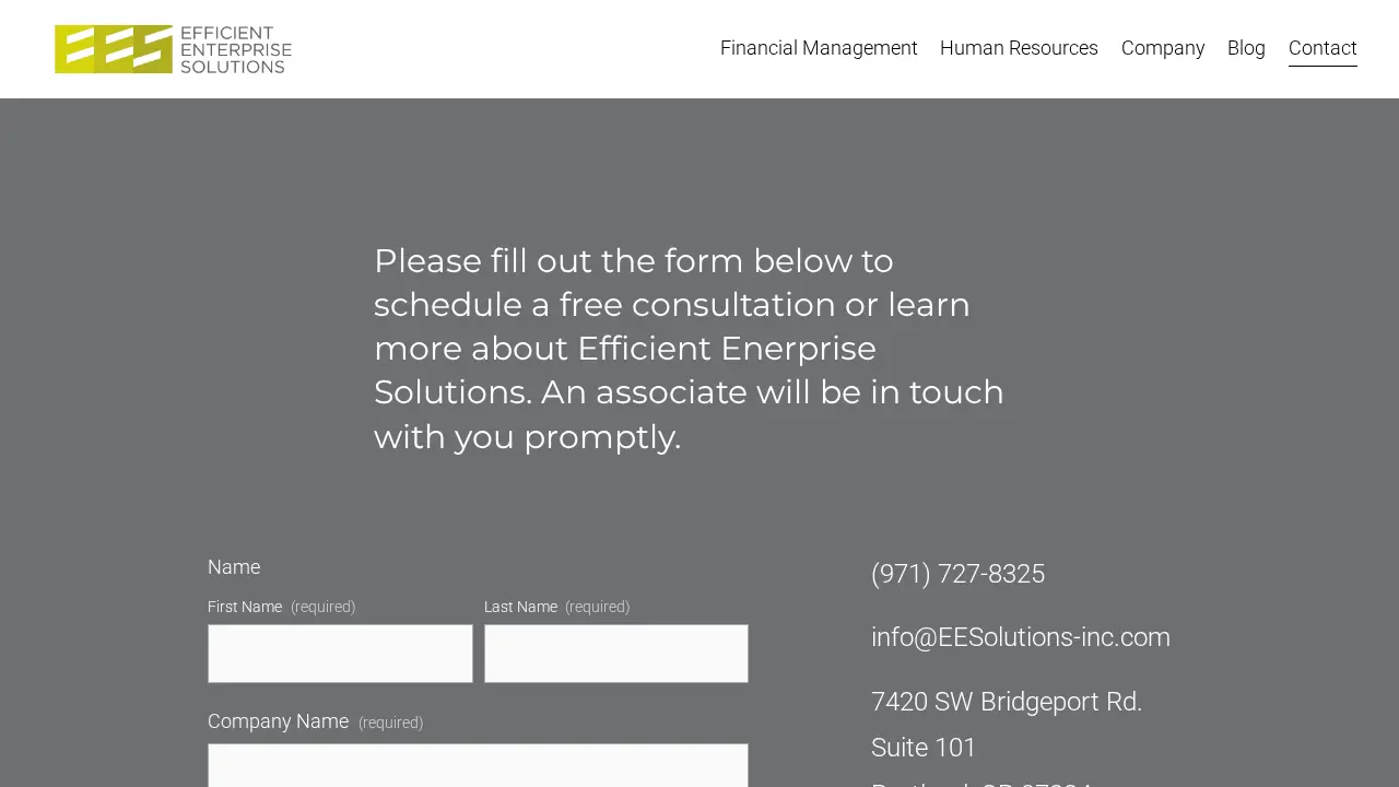 Efficient Enterprise Solutions page