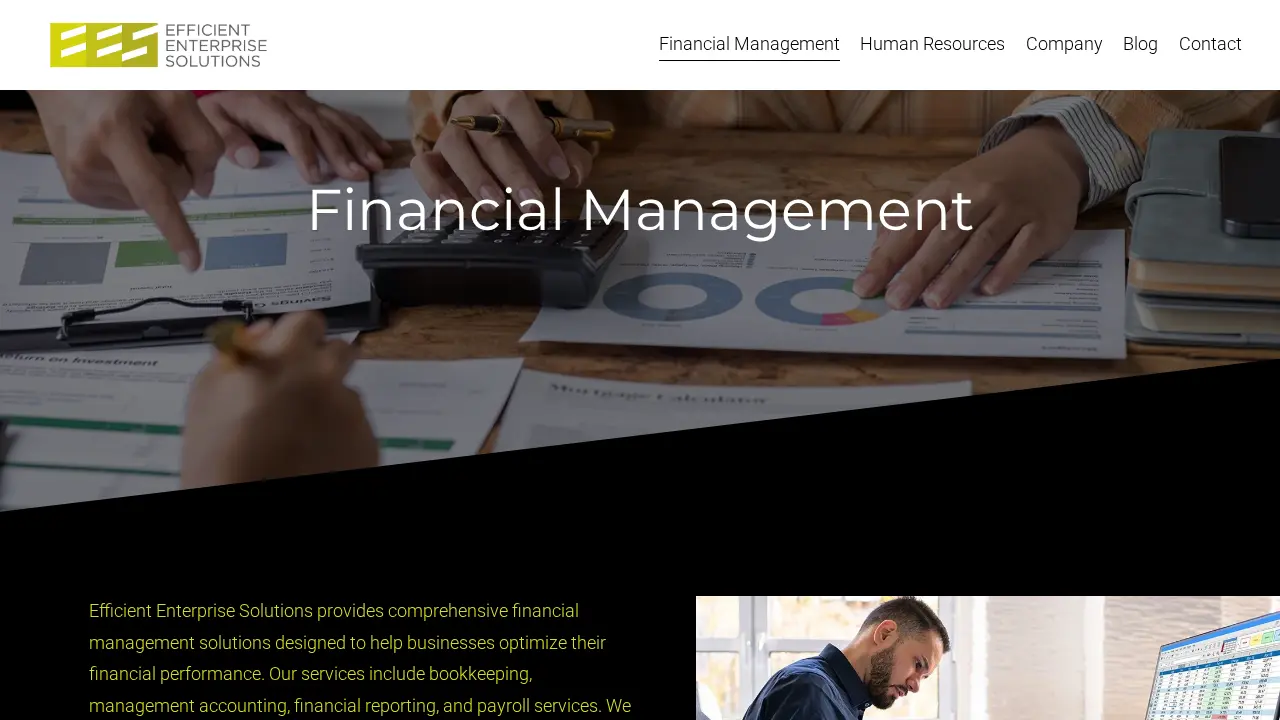 Efficient Enterprise Solutions page