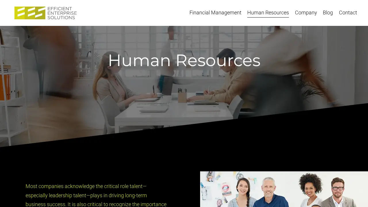 Efficient Enterprise Solutions page