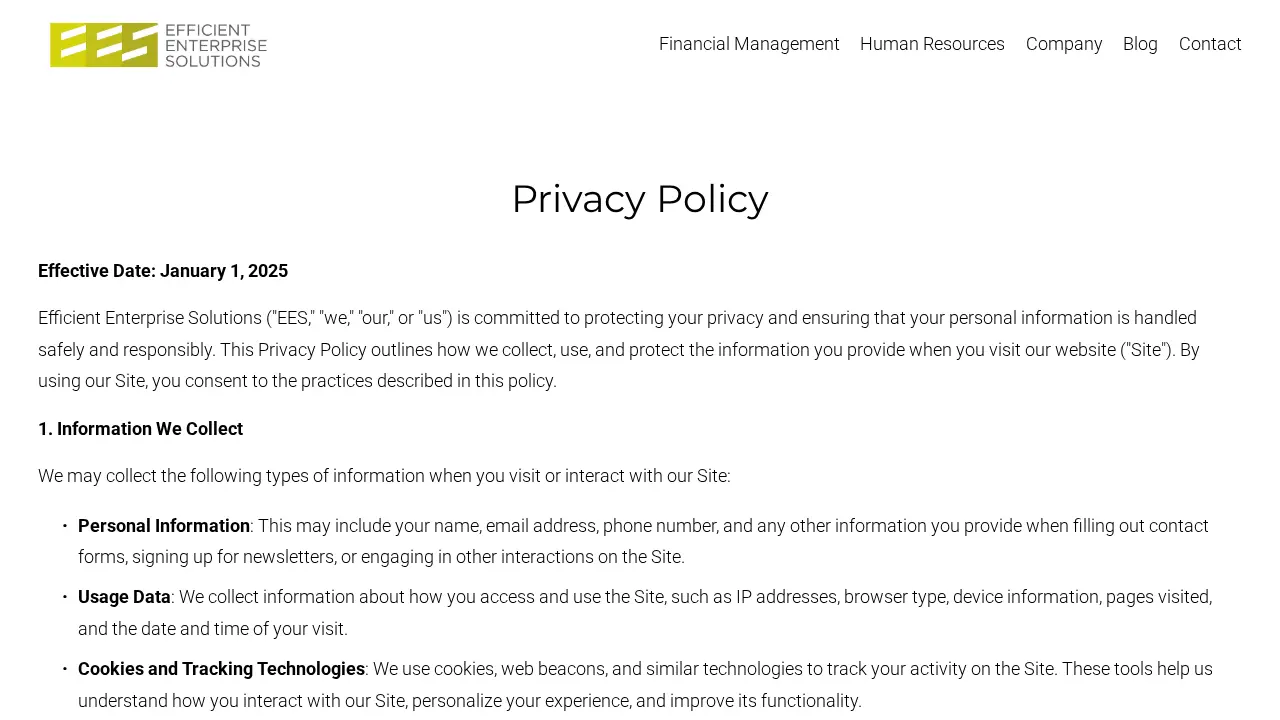Efficient Enterprise Solutions page