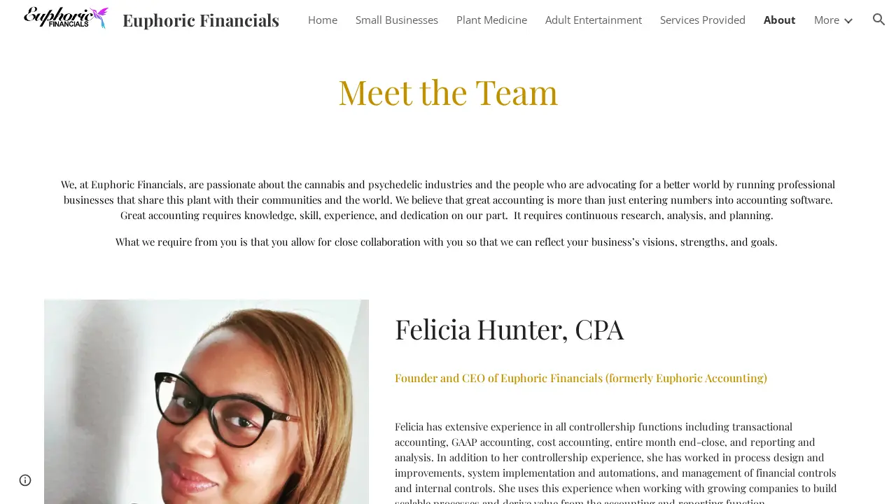 Euphoric Accounting page