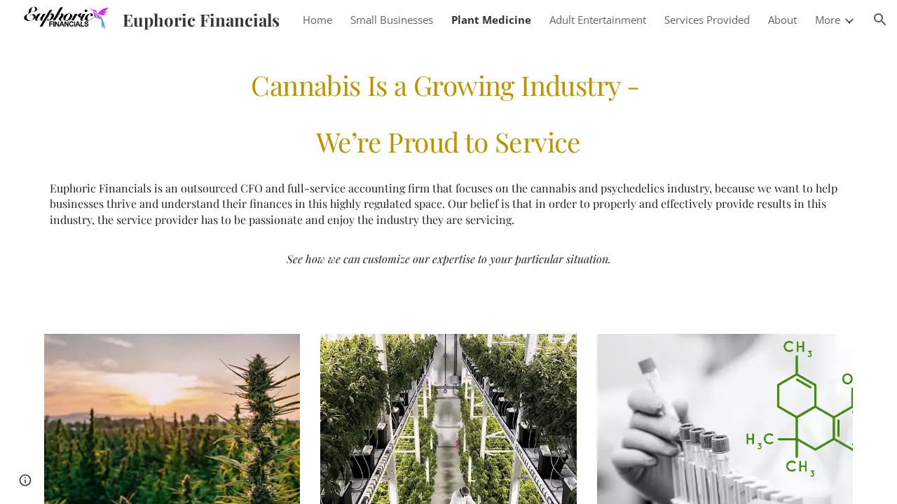 Euphoric Accounting page