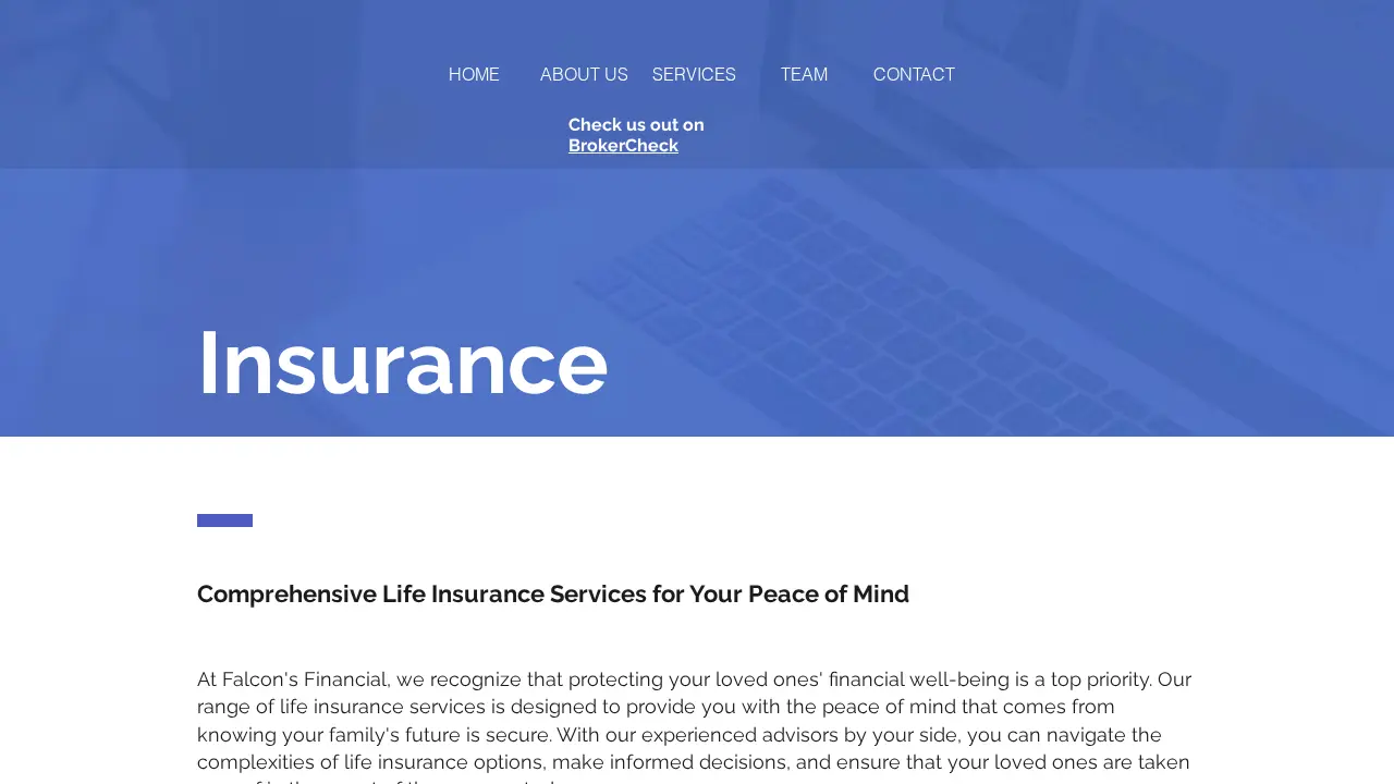 Falcon's Financial and Tax Services page
