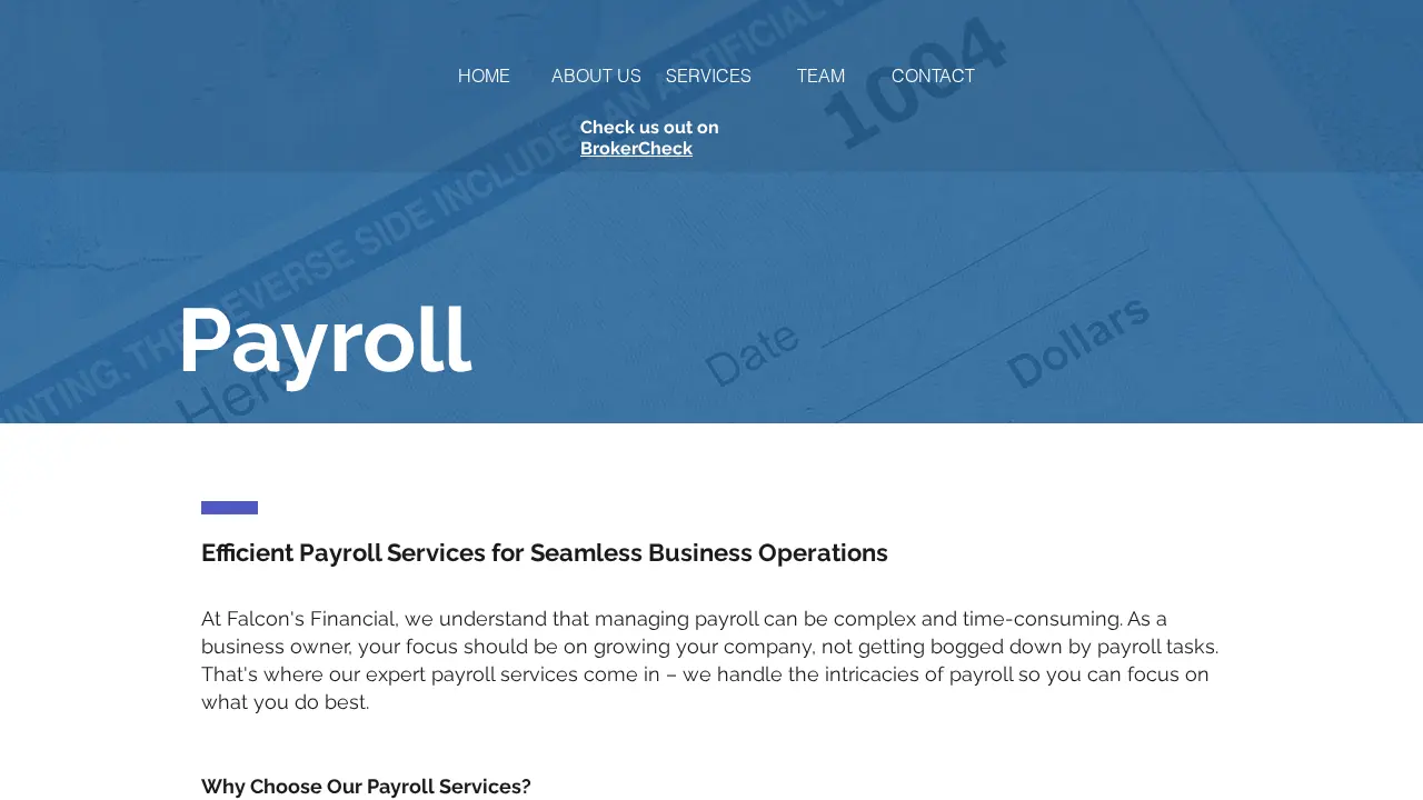 Falcon's Financial and Tax Services page