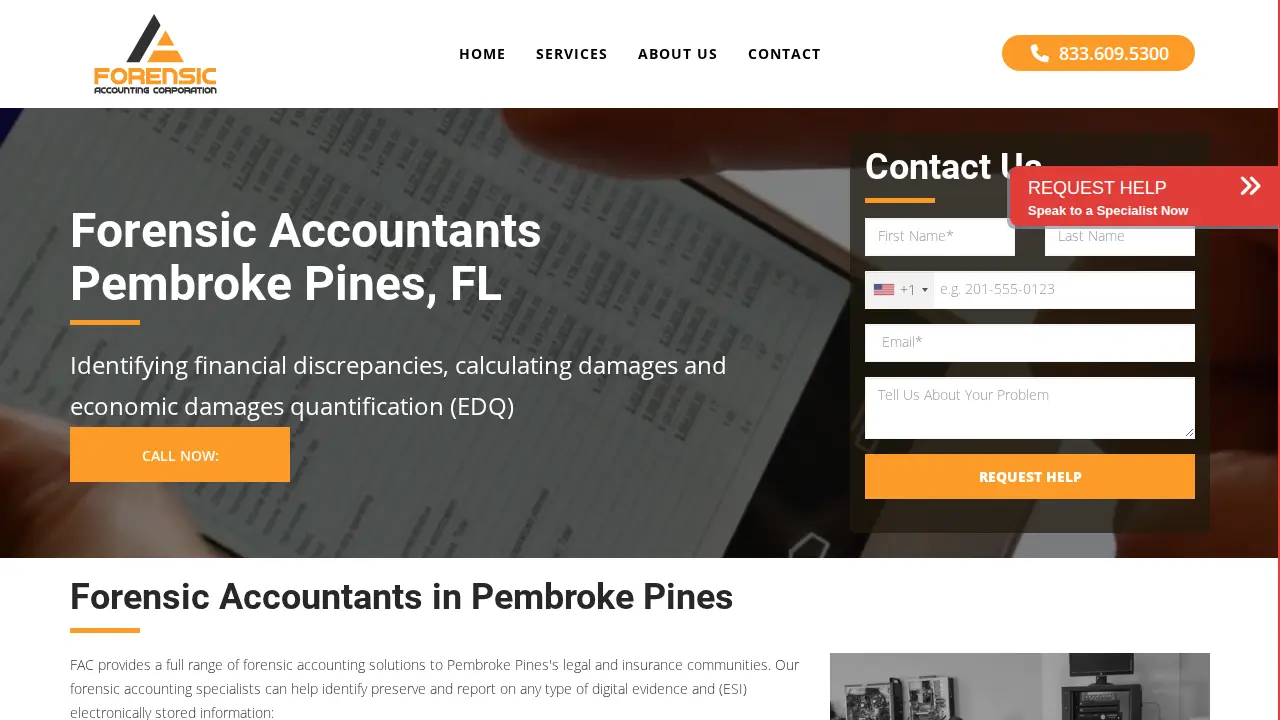 Forensic Accounting Corp page