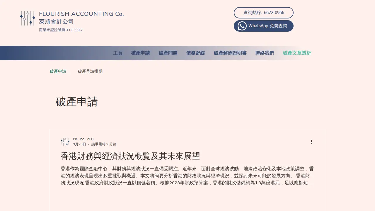 萊斯會計公司 page