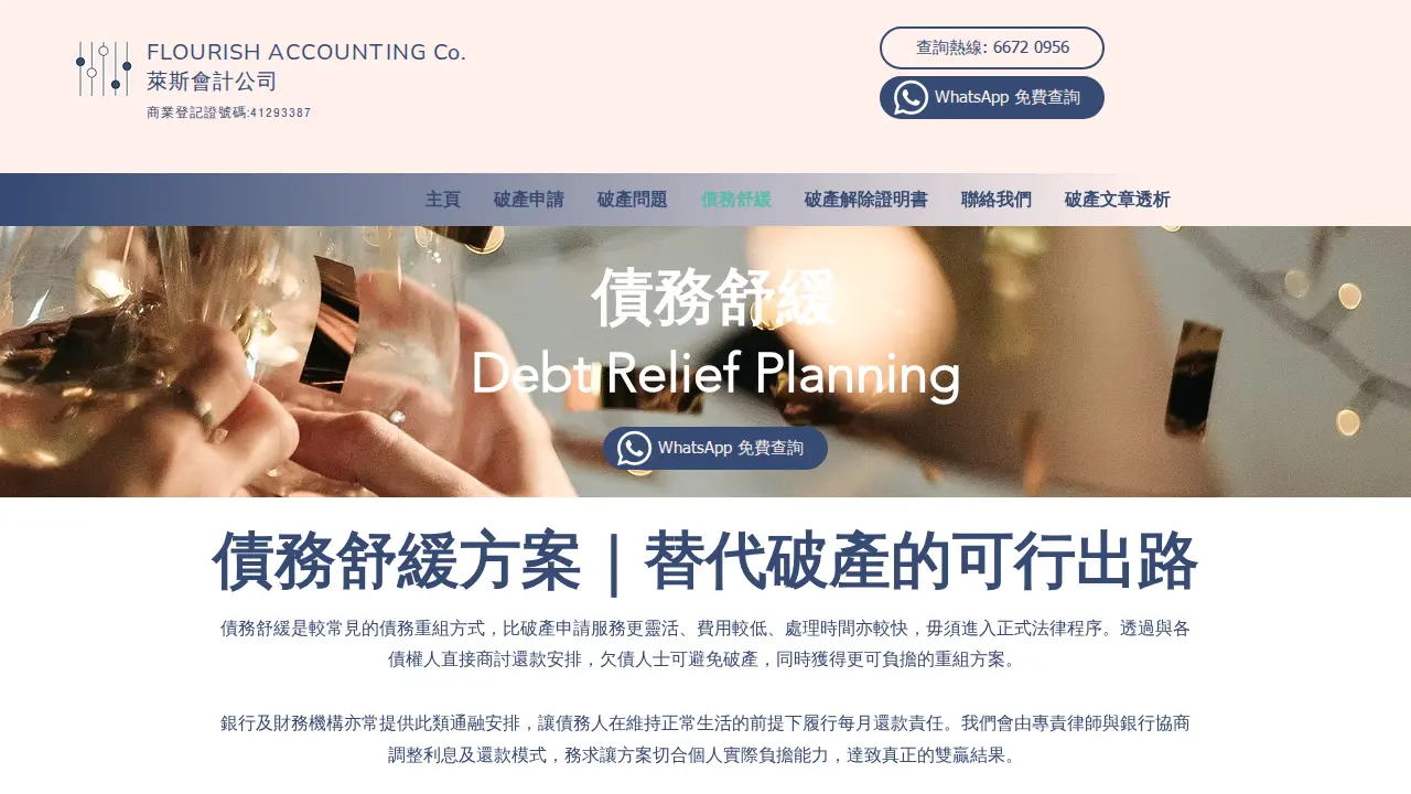 萊斯會計公司 page