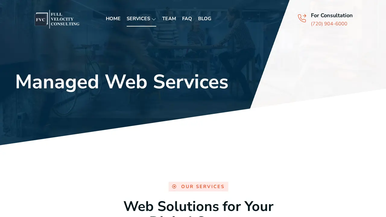Full Velocity Consulting page