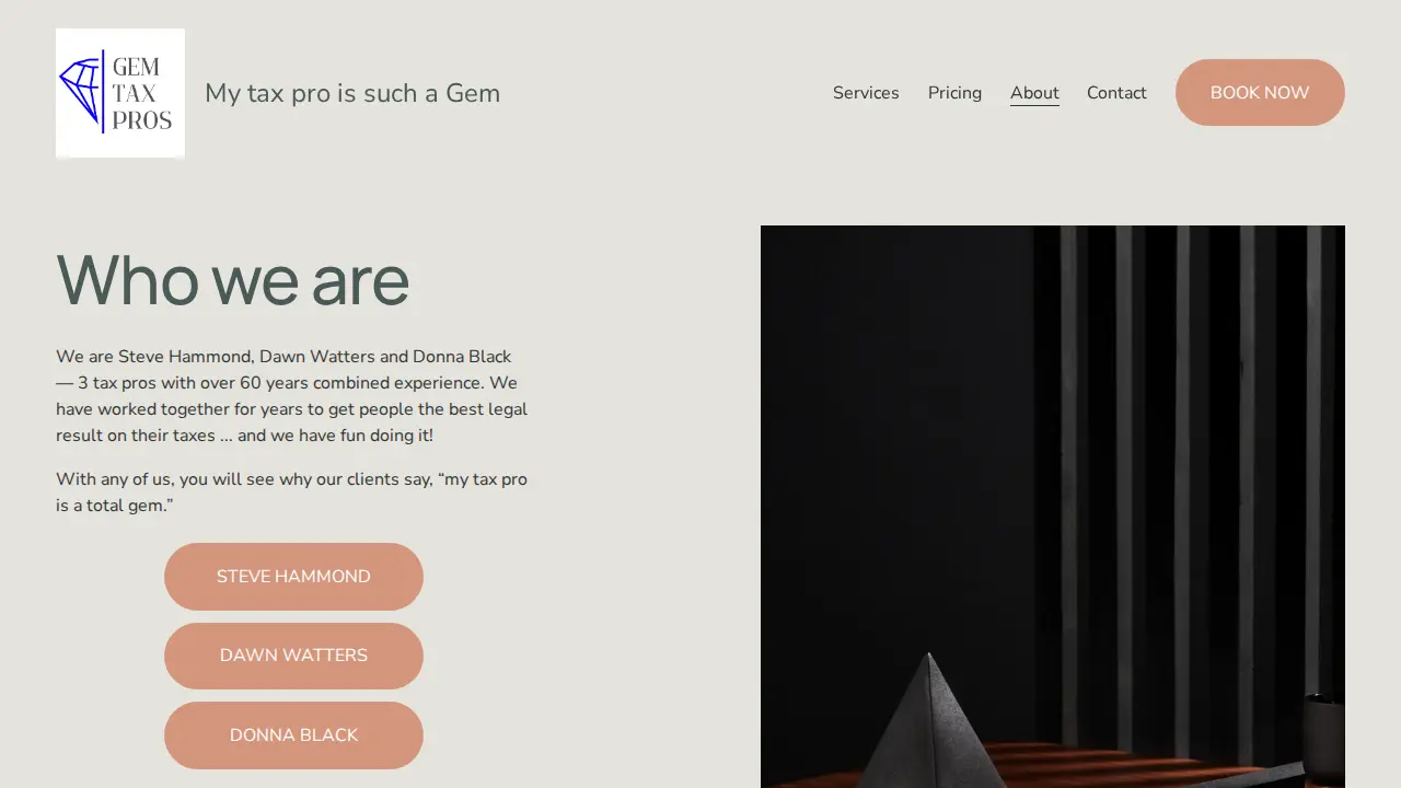 Gem Tax Pros page