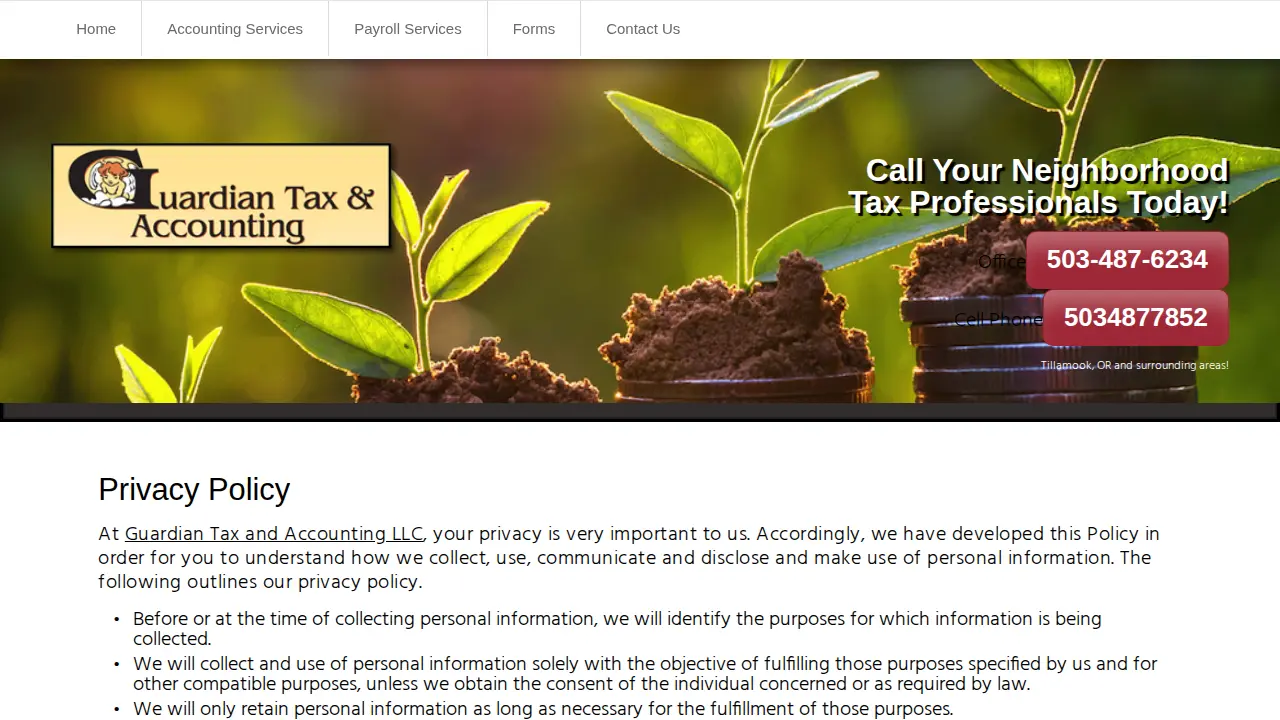 Guardian Tax & Accounting, LLC page