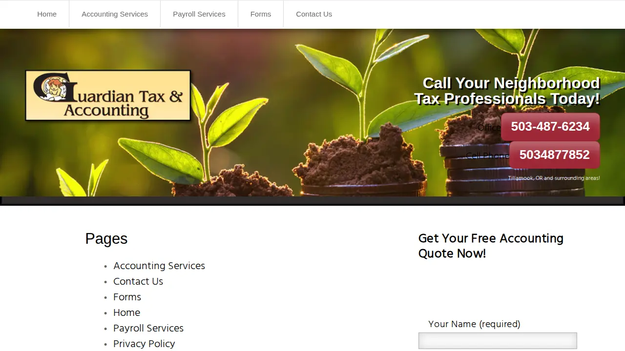 Guardian Tax & Accounting, LLC page