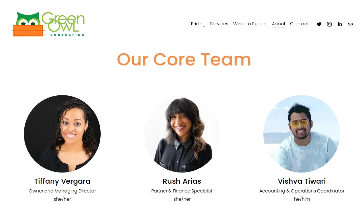 Green Owl Consulting page
