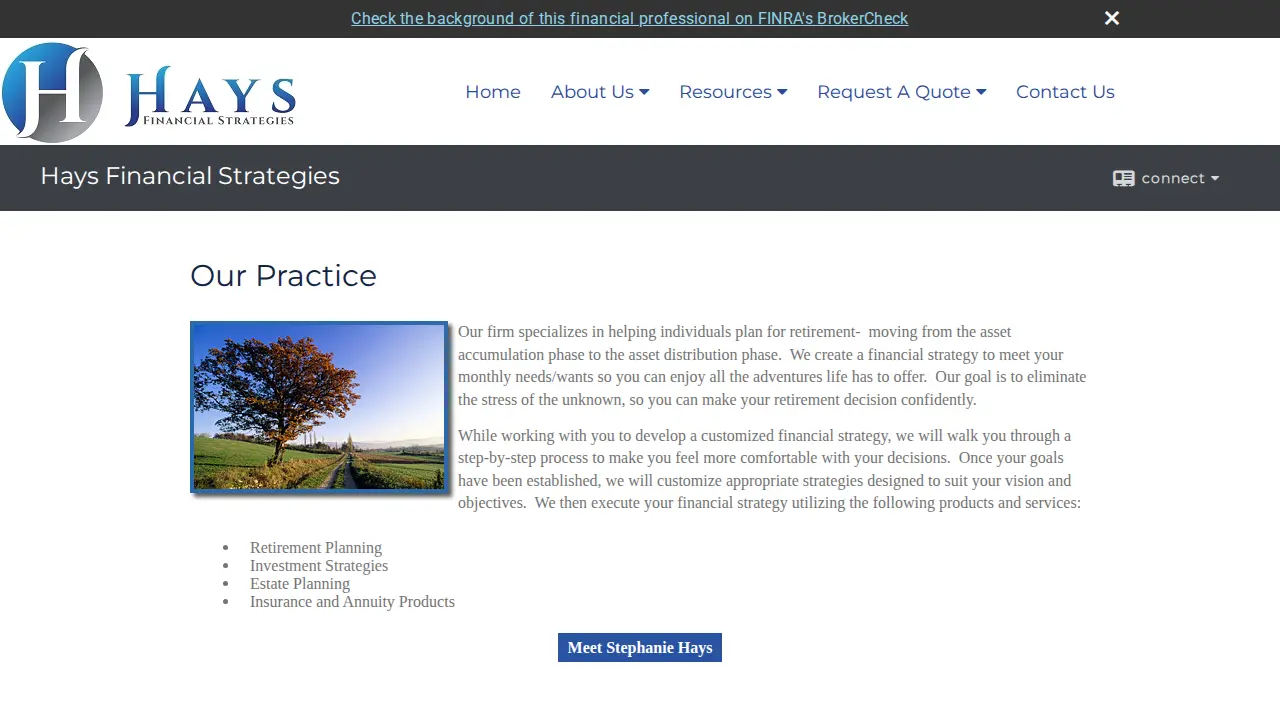 Hays Financial Strategies page