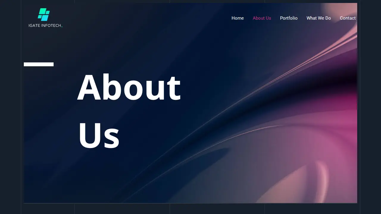 IGATE INFOTECH LLC page