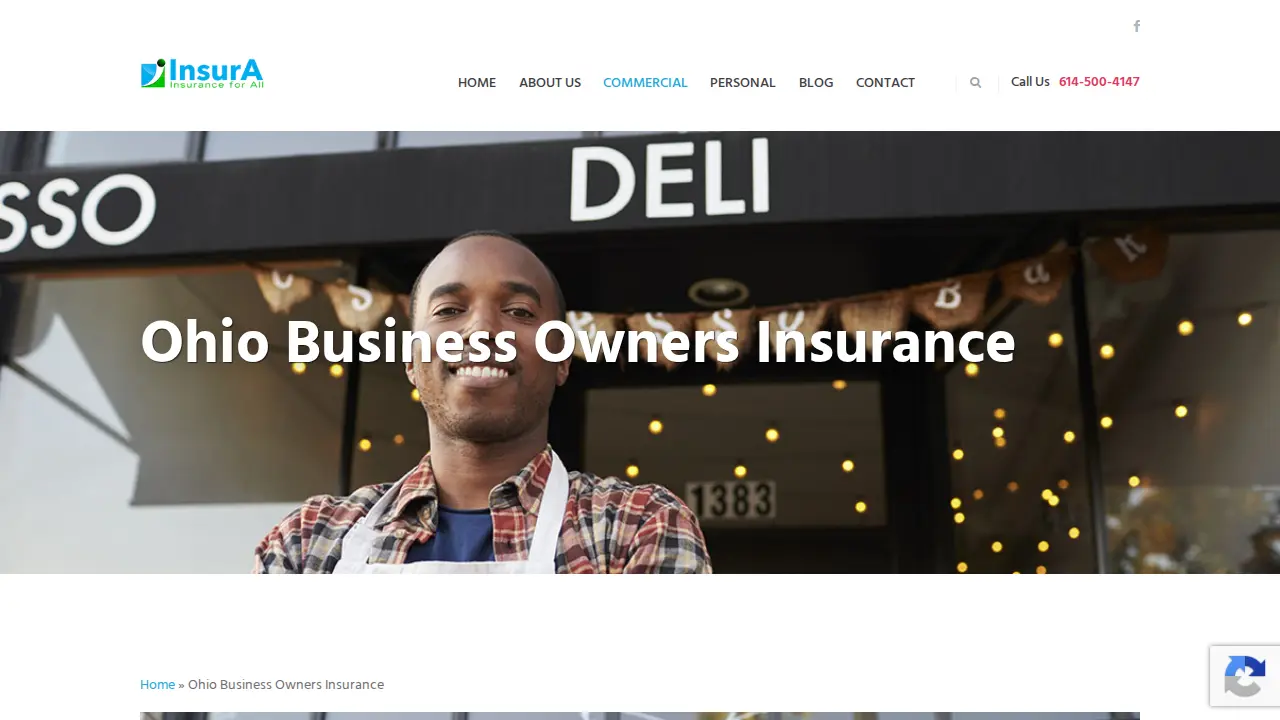 Insura page